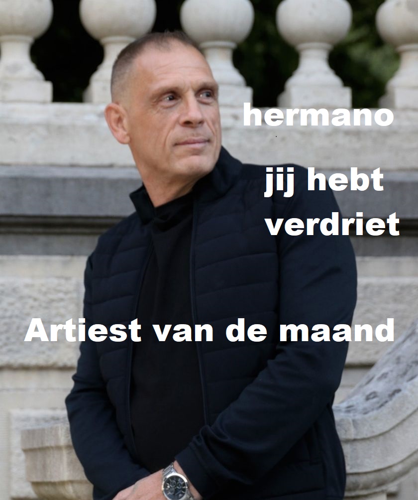 Artiest van de maand